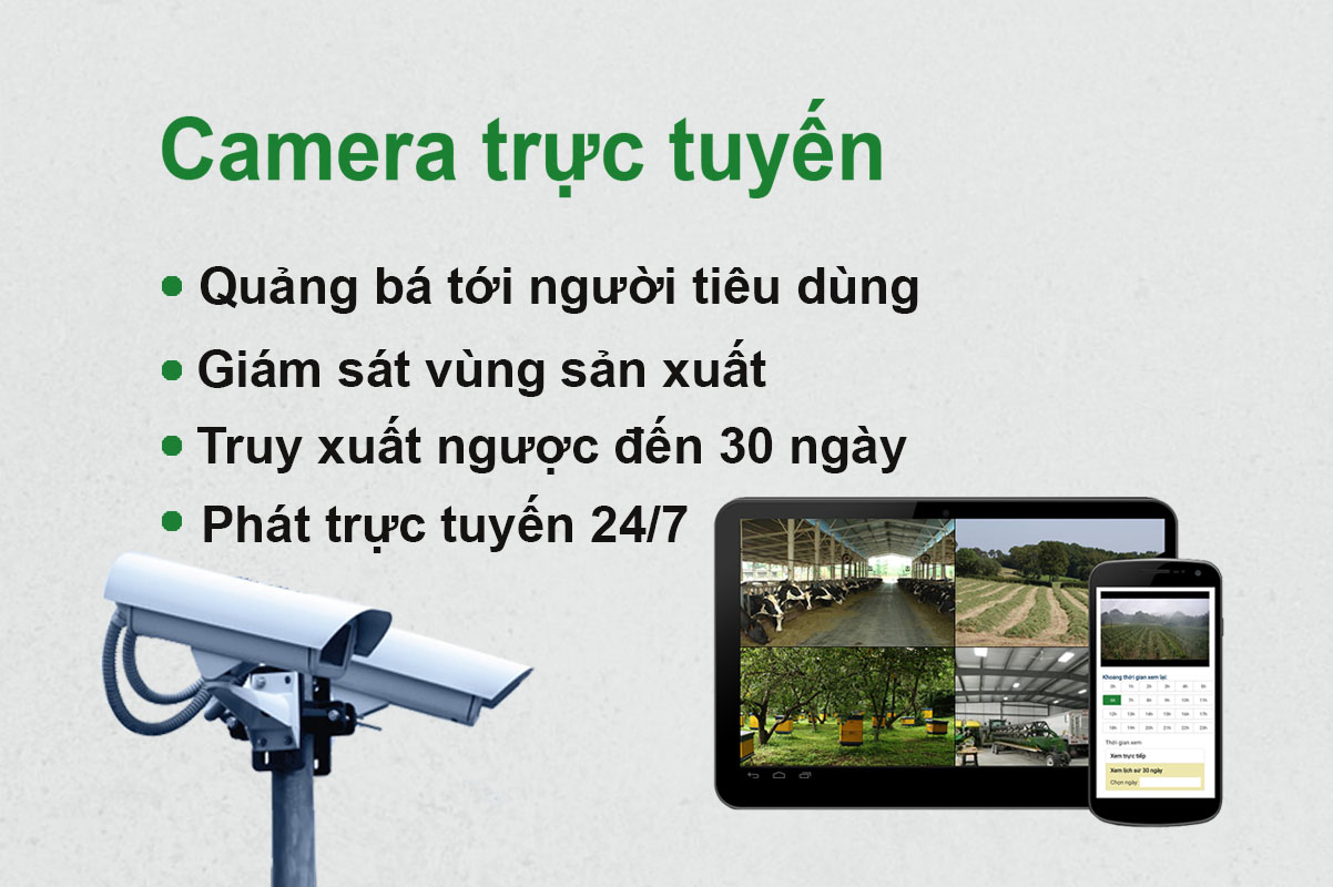 Quảng bá bằng camera trực tuyến và cam kết thời gian cách ly